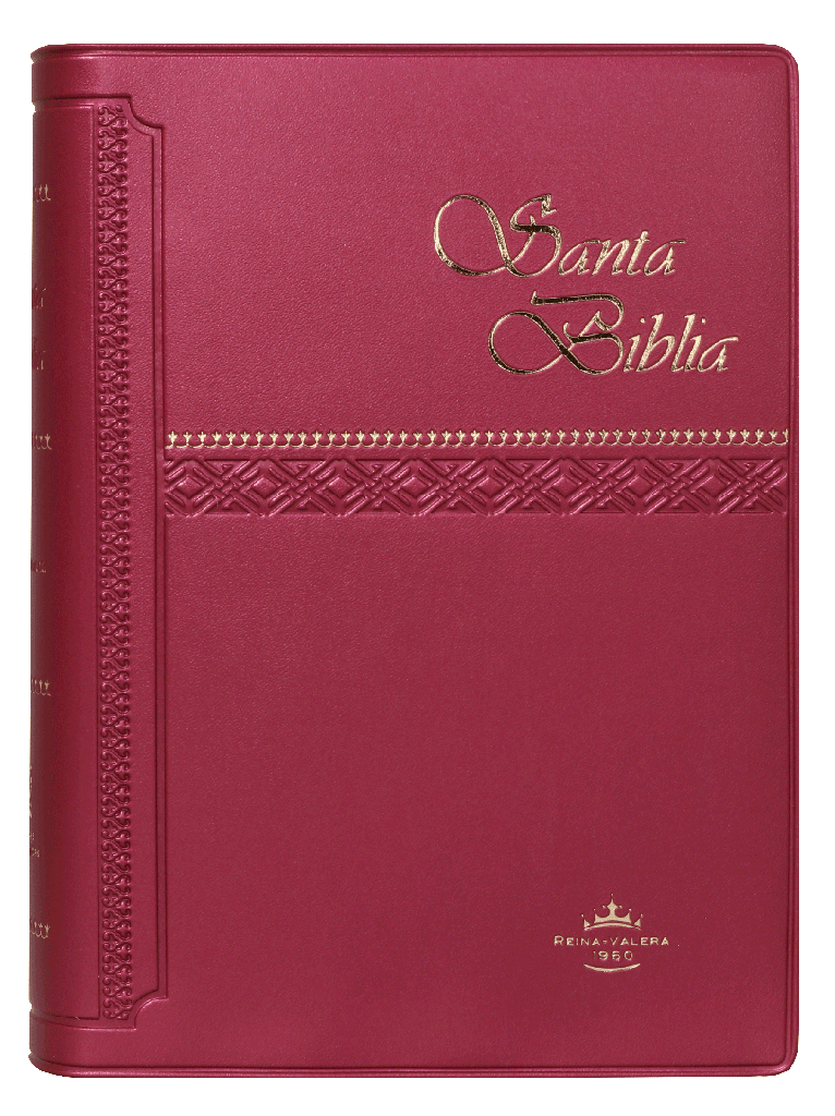 Biblia Reina Valera 1960 Chica Letra Chica Vinil Vino