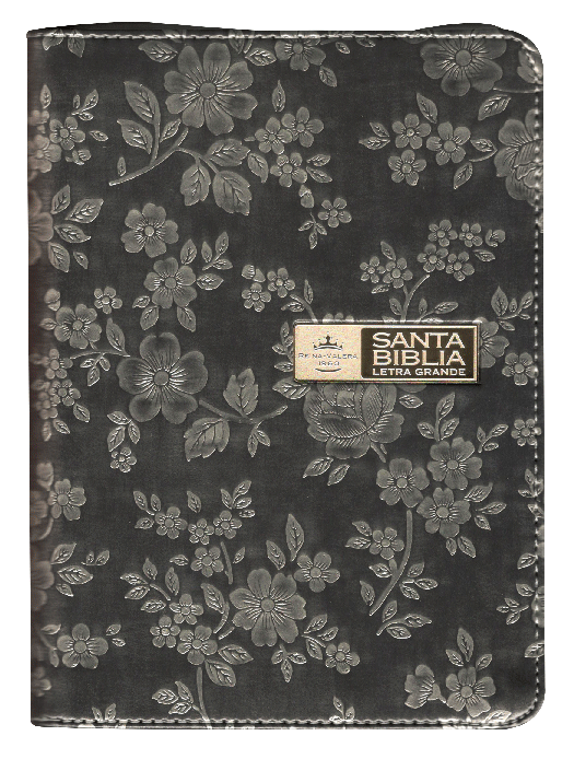 Biblia Reina Valera 1960 Chica Letra Mediana Imitación Piel Color Plata