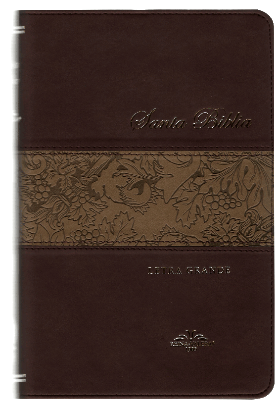 Biblia Reina Valera 1909 Mediana Letra Grande Imitación Piel Café