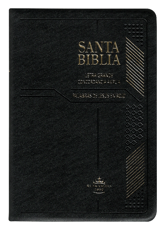Biblia Reina Valera 1960 Mediana Letra Grande Vinil Negr0
