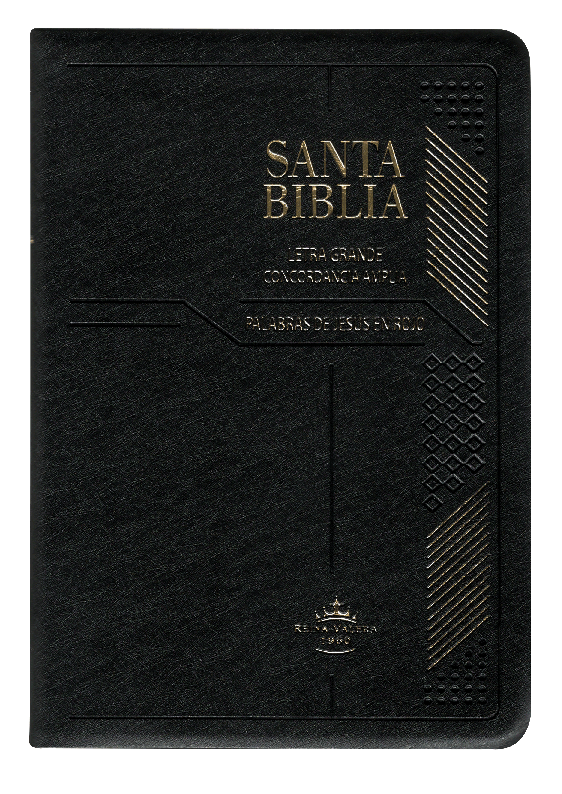 Biblia Reina Valera 1960 Mediana Letra Grande Vinil Negro