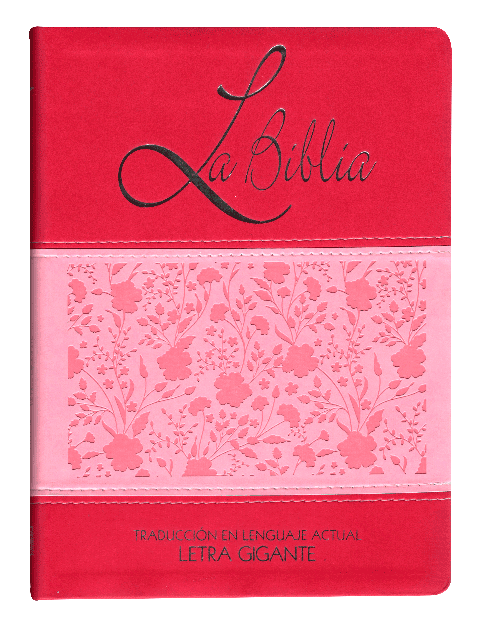 Biblia Traducción Lenguaje Actual Grande Letra Gigante Imitación Piel Duo Fiusha