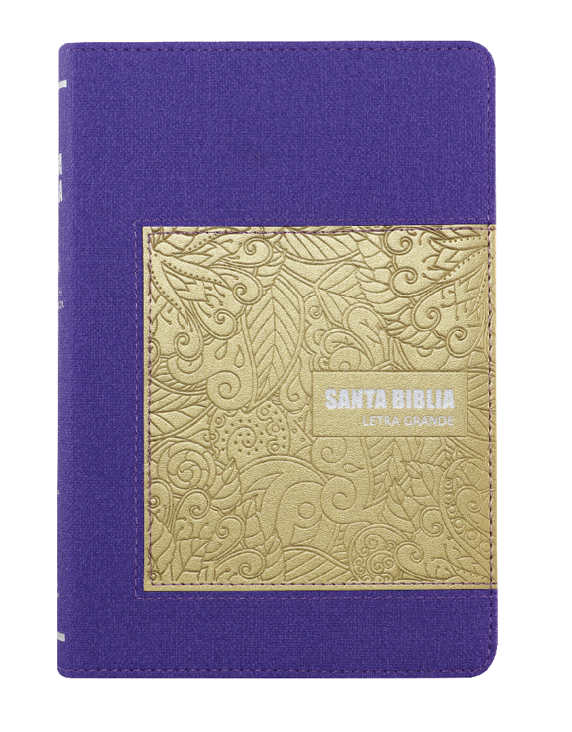 Biblia Reina Valera 1960 Mediana Letra Gigante Imitación Piel Púrpura