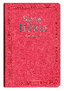 Biblia Reina Valera 1960 Mediana Letra Mediana Imitación Piel Rosa