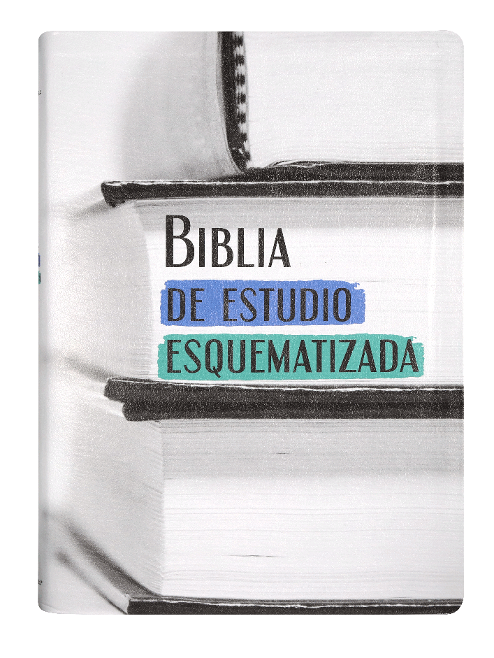 Biblia de Estudio Esquematizada Reina Valera 1960 Grande Letra Grande Imitación Piel