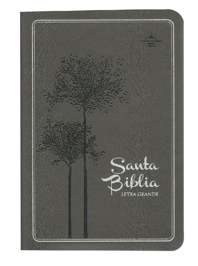 Biblia Reina Valera 1960 Mediana Letra Grande Imitación Piel Gris