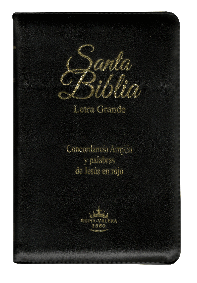 Biblia Reina Valera 1960 Mediana Letra Grande Imitación Piel Negro