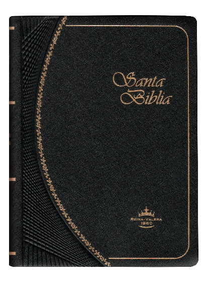 Biblia Reina Valera 1960 Tamaño Bolsillo Letra Chica Vinil Negro