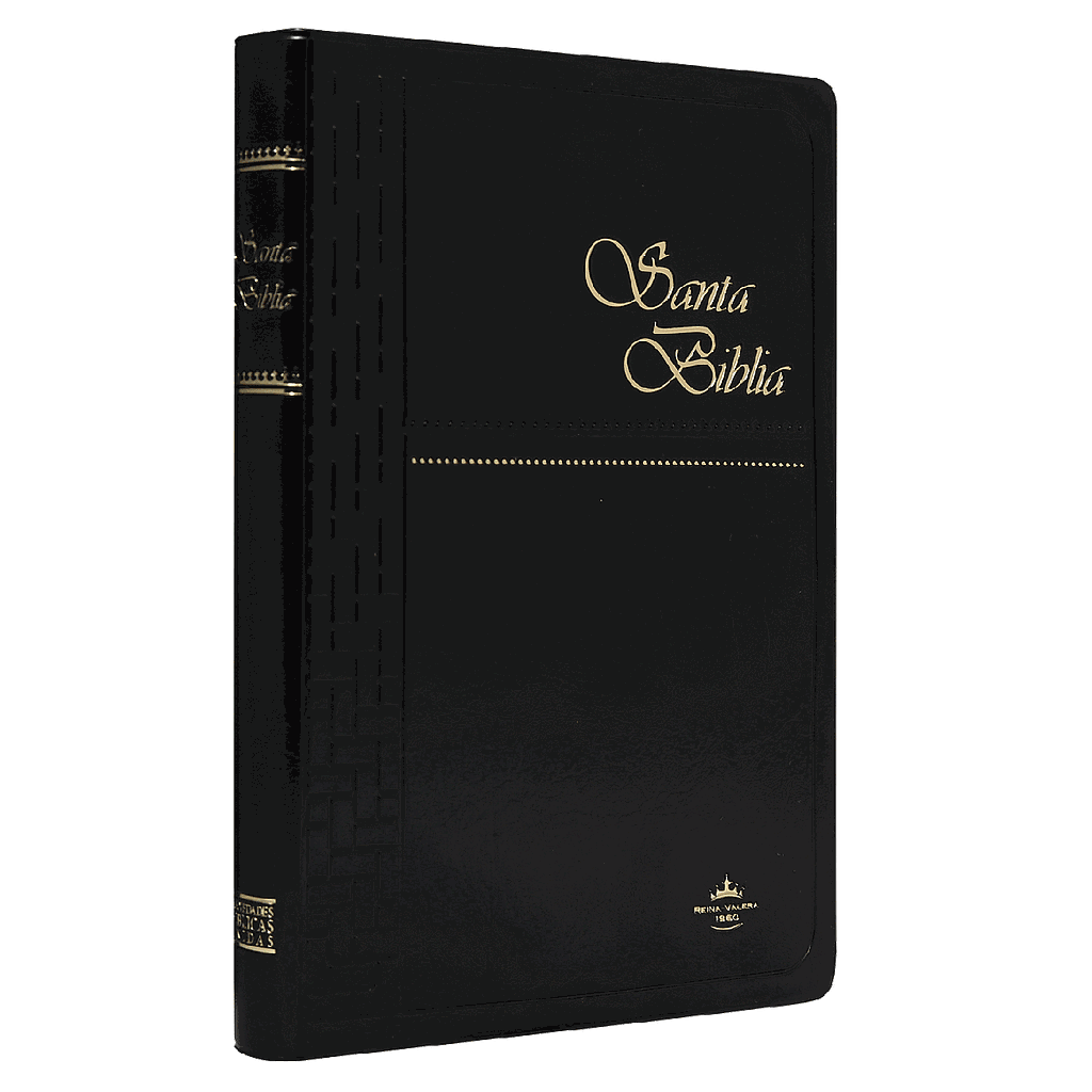 Biblia Reina Valera 1960 Mediana Letra Mediana Vinil Negro