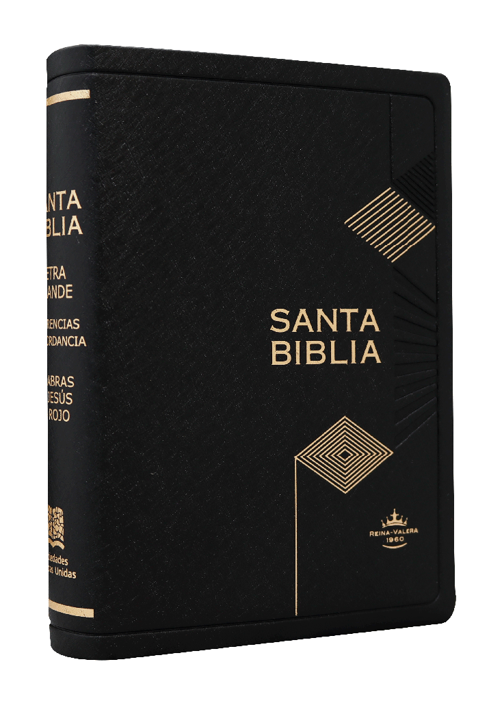 Biblia Reina Valera 1960 Chica Letra Mediana MDM Vinil Negro