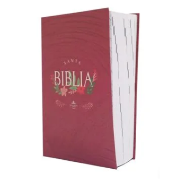 Biblia Reina Valera 1960 Mediana Letra Grande Tapa dura Rosa QR