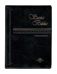 [SBM7581] Biblia Reina Valera 1960 Chica Vinil Letra Chica Negro