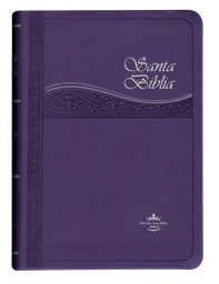 Biblia Reina Valera 1960 Chica Letra Mediana Imitación Piel Morado