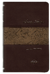 [SBM9843] Biblia Reina Valera 1909 Mediana Letra Grande Imitación Piel Café