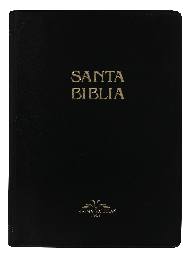 Biblia Reina Valera 1909 Mediana Letra Mediana Vinil Negro