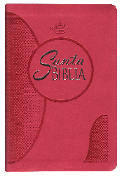 Biblia Reina Valera 1960 Mediana Letra Grande Imitación Piel Fiusha