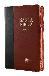 Biblia Reina Valera 1960 Mediana Letra Grande Imitación Piel Negro Marrón