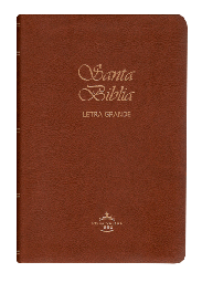 Biblia Reina Valera 1960 Mediana Letra Grande Imitación Piel Café
