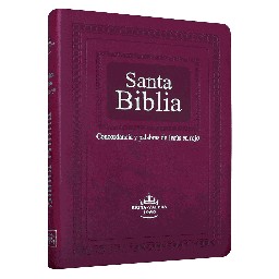 Biblia Reina Valera 1960 Grande Letra Gigante Imitación Piel Púrpura