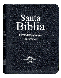 Biblia Fuente de Bendiciones Reina Valera 1960 Chica Letra Mediana Mezclilla Verde