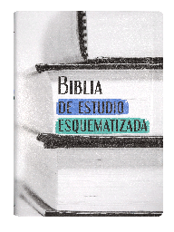 [SBM7831] Biblia de Estudio Esquematizada Reina Valera 1960 Grande Letra Grande Imitación Piel
