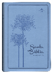 Biblia Reina Valera 1960 Mediana Letra Grande Imitación Piel Azul