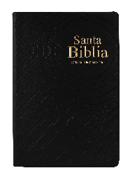 Biblia Reina Valera 1960 Grande Letra Gigante Vinil Negro
