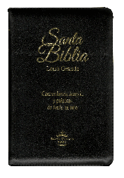 [SBM0695] Biblia Reina Valera 1960 Mediana Letra Grande Imitación Piel Negro