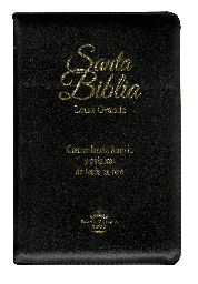 Biblia Reina Valera 1960 Mediana Letra Grande Imitación Piel Negro