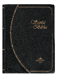 Biblia Reina Valera 1960 Tamaño Bolsillo Letra Chica Vinil Negro