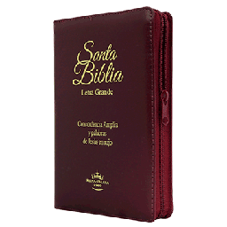 [SBM0717] Biblia letra grande vino RVR60