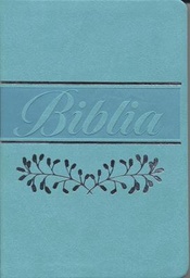 [SBM5762] Biblia RVR066eLM/ Verde Menta Canto pintado/ Sin cierre
