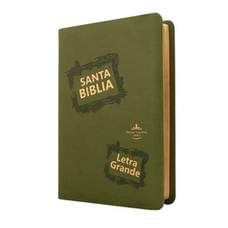 [SBM6239] Biblia Reina Valera 1960 Mediana Letra Grande Imitación Piel Verde Claro [RVR065CLG CL]