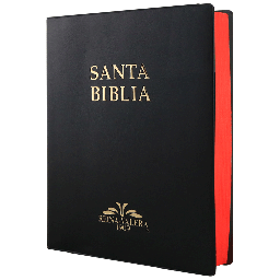[SBM6130] Biblia Reina Valera 1909 Grande Negro [VR082LM]